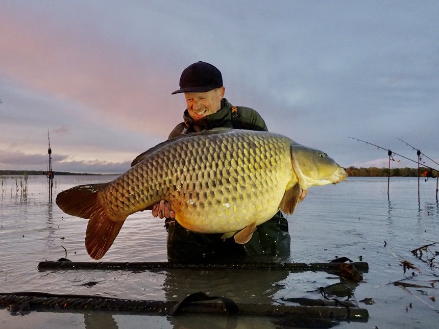 Le lac du Der, un réservoir à carpes géantes ?