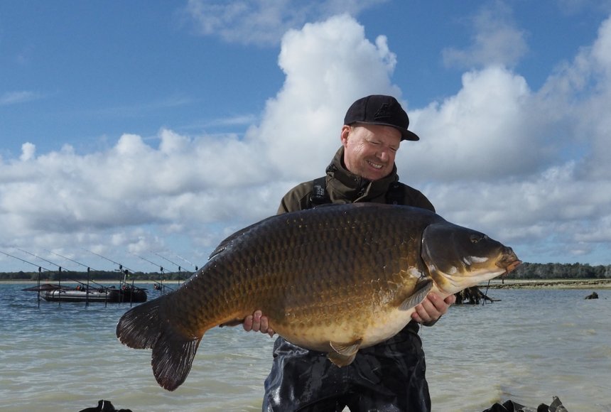 Le lac du Der, un réservoir à carpes géantes ?