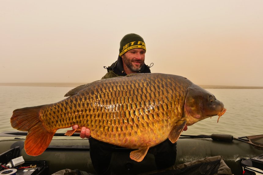 Le lac du Der, un réservoir à carpes géantes ?