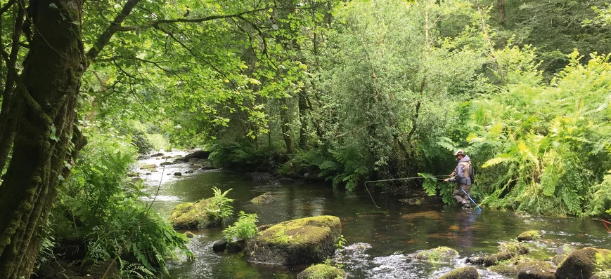 Comment bien pêcher les petites rivières en France