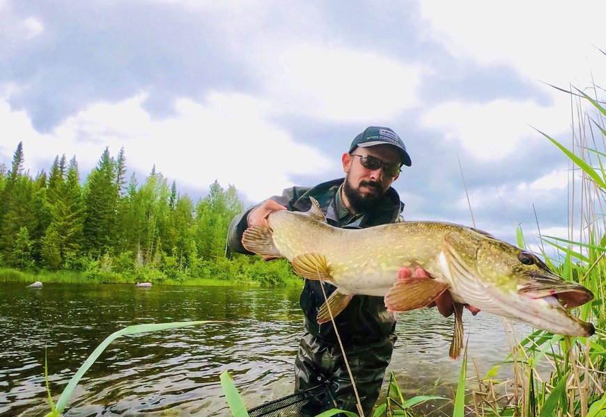 Hameçon texan : l'hameçon gagnant pour la pêche des carnassiers