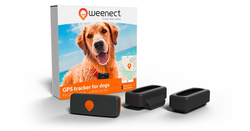 Weenect XS, le premier collier GPS garanti à vie ! L'outil ultime pour la  sécurité de nos animaux - Temavet