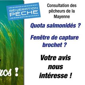 La Mayenne consulte ses pêcheurs