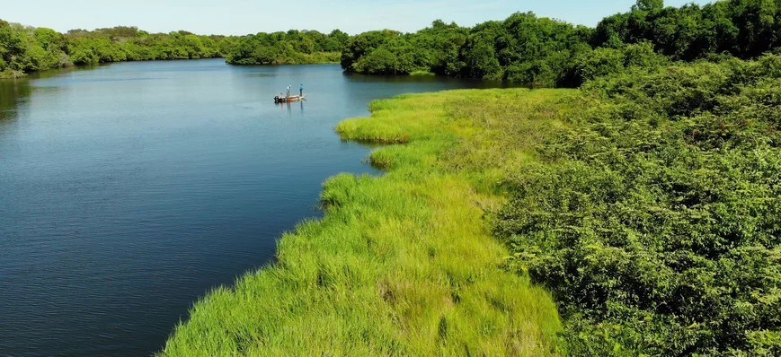 Voyage de pêche en Amazonie, sur l'île du Bananal