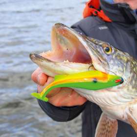 Test du leurre Alphapike - Trophy Pike Solutions - Peche et Poissons