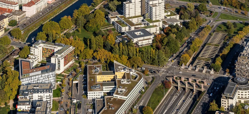 Port de Strasbourg : l’avenue du Rhin en voie de r