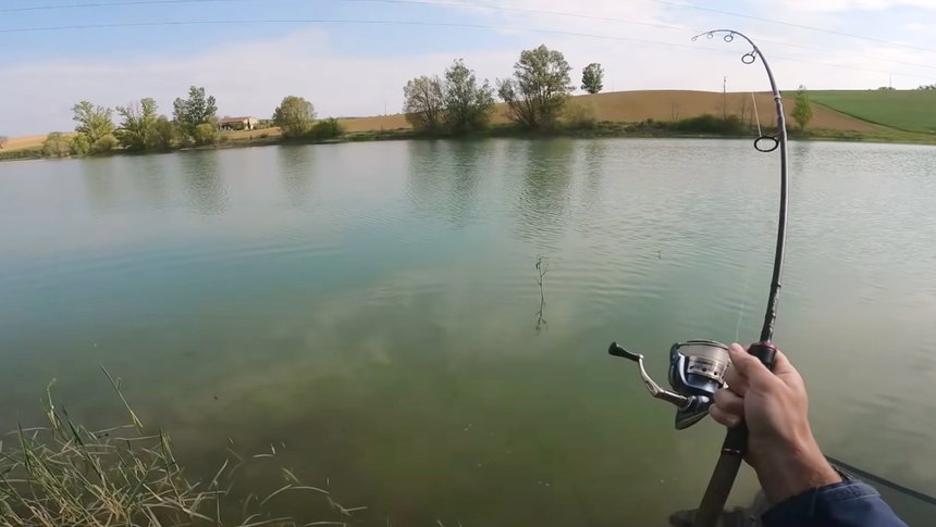 Carp Tour 360