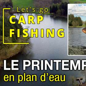 [CARPE] Pêche de la carpe au printemps en plan d'eau - Let's Go Carp Fishing