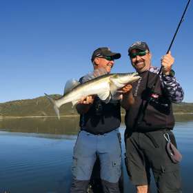 Suivez le guide - Sandre : pêche à vue et grosses pralines