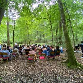 Festival Nuits des forêts : l’engagement citoyen au centre de la 4e édition