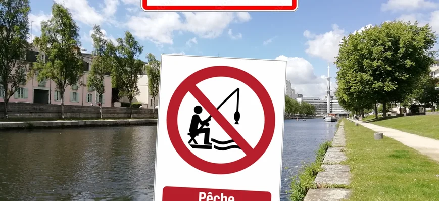 Rennes : la pêche vue comme une activité polluante