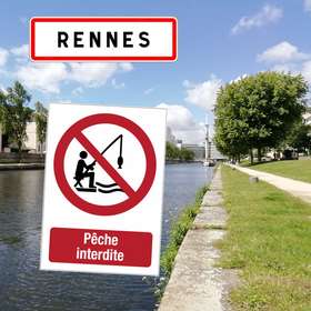 Rennes : la pêche vue comme une activité polluante et nuisible, la fédération passe à l'offensive !