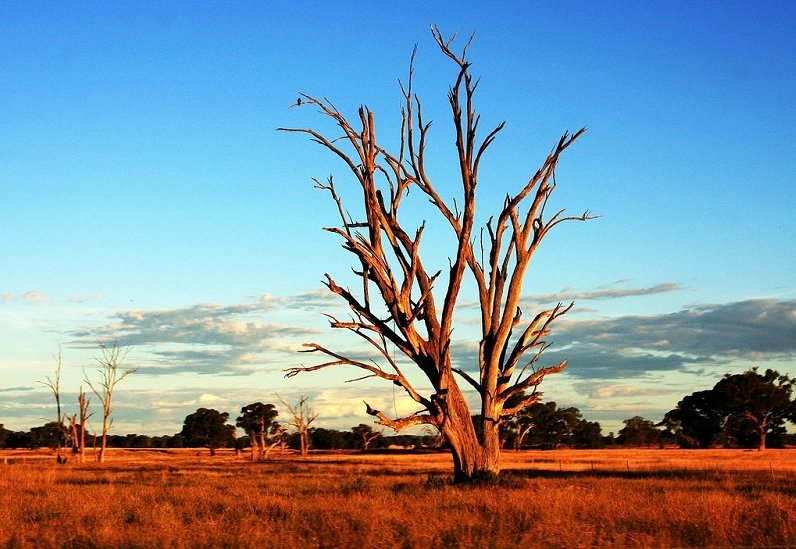 Le climat en Australie : les multiples saisons du pays-continent