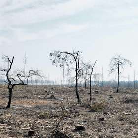 Un Centre mondial de gestion des incendies a été créé