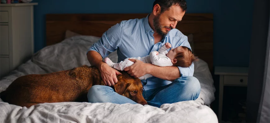 Le congé paternité vétérinaire est-il un oxymore ?