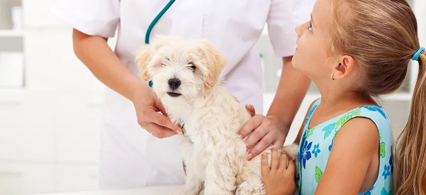 Les vétérinaires vus par les enfants : rêve ou réa
