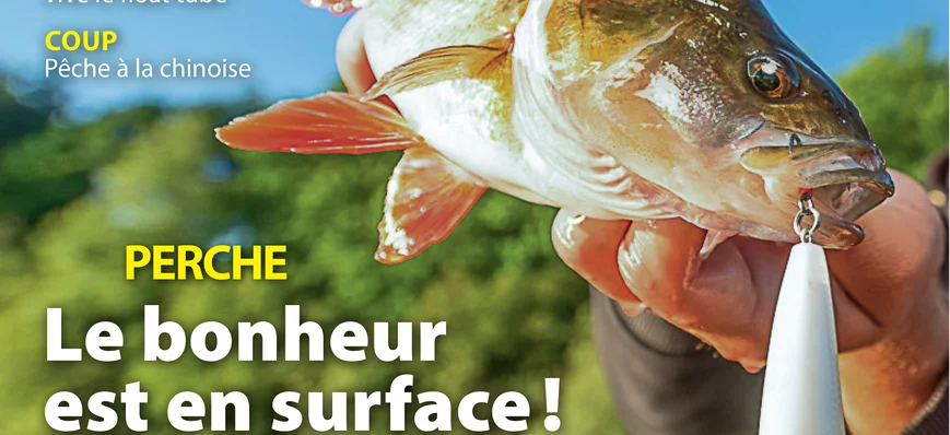 Gratuit : les 1ères pages du n°939 de La Pêche et 