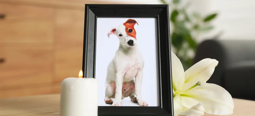 Comment accompagner les clients lors de la fin de 