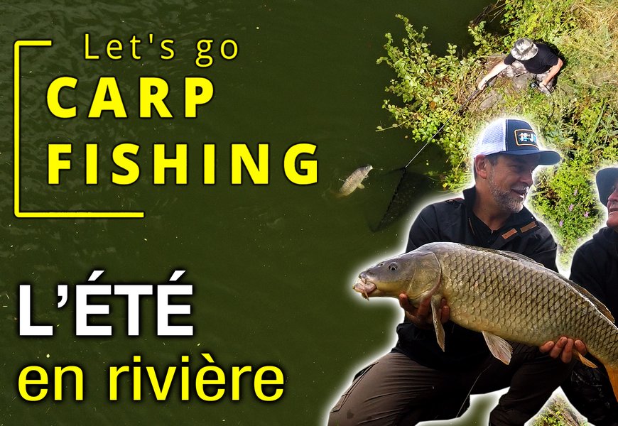CARPE] Pêche de la carpe en été en rivière canalisée - Let' Go Carp Fishing  - Peche et Poissons