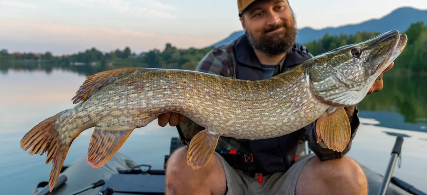 Pêche du brochet en grand lac : pariez sur les gro