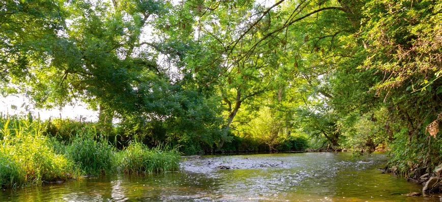 Changement climatique : sauvons nos rivières