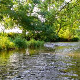 Changement climatique : sauvons nos rivières