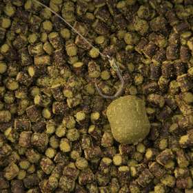 Les pellets Concept 60% Moule de chez Tom Baits