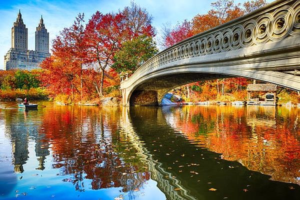 Experience Autumn in New York with a Budget-Friendly Ticket from Paris