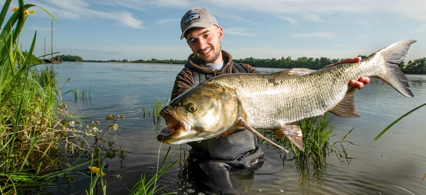 Pêche de l'aspe au jig : récit d'une partie de pêc
