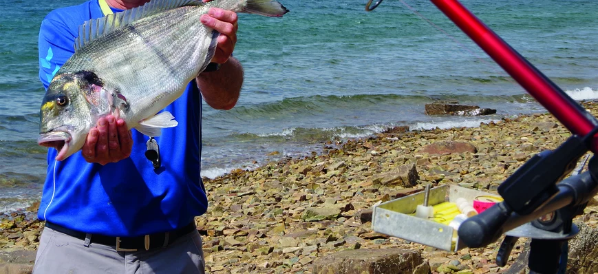 Pêche de la daurade royale en surfcasting avec Gil