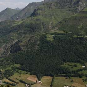 La plus ancienne forêt de protection de France a 704 ans
