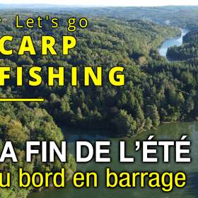 [CARPE] Pêche de la carpe du bord en barrage à la fin de l'été - Let's Go Carp Fishing
