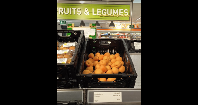 Les abricots de France à l'honneur dans les rayons de la GMS. Photo : Thomas Francoual