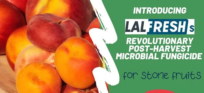 Lalfresh S : solution naturelle contre la monilios