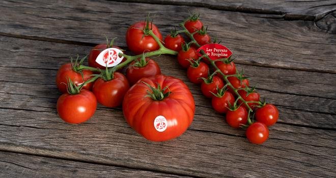 Quatre variétés en label Rouge. Photo : Rougeline