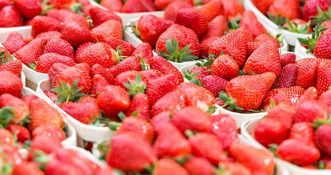 Dans un contexte de guerre des prix, de nombreuses enseignes de distribution tardent à référencer les fraises françaises sur leurs étals. Photo : Pictures news/Adobe Stock