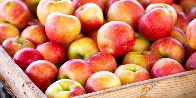 Auchan s’engage pour la filière pomme de France.