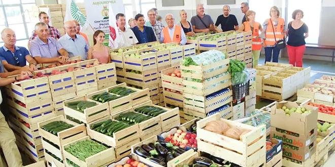 En 2022, Solaal a enregistré une hausse de 23% des dons de légumes. © Solaal