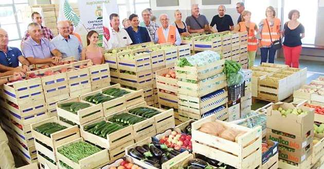 En 2022, Solaal a enregistré une hausse de 23% des dons de légumes. © Solaal