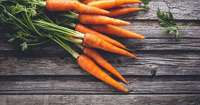 Champs de Légumes, nouvel adhérent de Carottes de France. Photo : asab974/adobestock