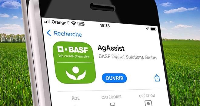 BASF Agro lance AgAssist, une application mobile gratuite pour la protection des cultures. Photo : BASF Agro