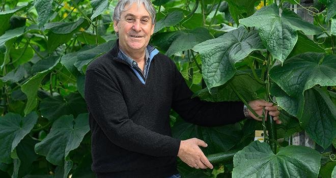 Jean-Pierre La Noë, producteur de concombres près d’Orléans, est le nouveau président de l’AOPn Tomates et Concombres. Photo : AOPn Tomates et Concombres