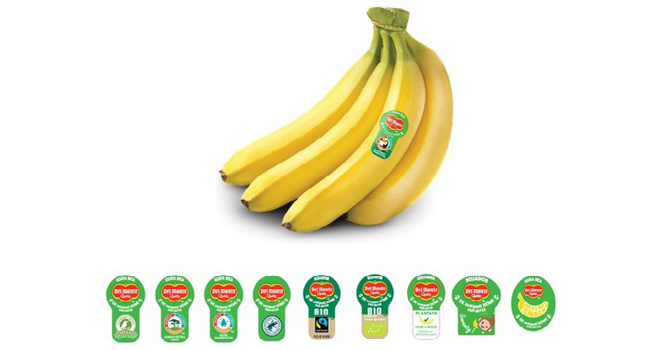 Les nouvelles étiquettes apposées sur les bananes Del Monte porte la mention « OK compost home ». Photo : DR