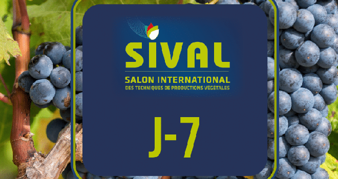 Le Sival 2022 se tiendra la semaine prochaine, du 15 au 17 mars au parc des expositions d'Angers.