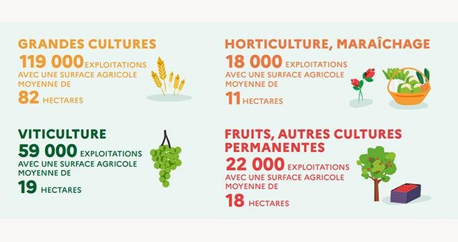 Données du dernier recensement agricole, pour la France métropolitaine et les DOM. Source Agreste