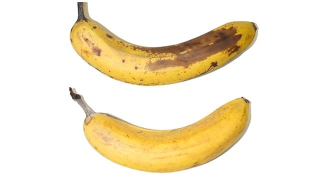 Protégée par une enveloppe de cellulose, la banane du dessous conserve sa couleur jaune plus longtemps que la banane témoin (ici : au bout de 10 jours). Photo : Empa, Lidl Schweiz