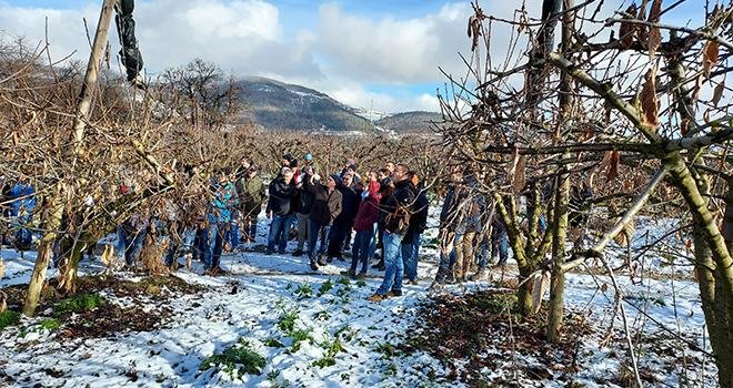 73 professionnels de la filière cerise de bouche ont participé à la journée de visites organisée début décembre en Ardèche, puis dans le Vaucluse. Photo : AOP Cerises de France 