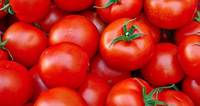 Le chiffre d’affaires de la tomate a progressé sur un an grâce à des prix bien orientés. Photo : evafesenuk/Adobe stock