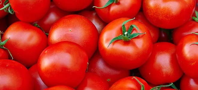 Le chiffre d’affaires de la tomate en hausse de 10