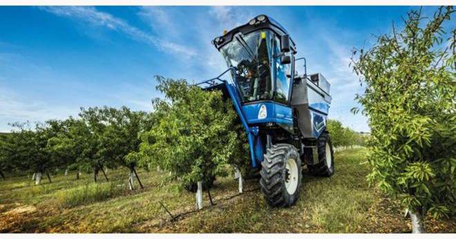 La Braud 11.90 X Multi est conçue pour la récolte haute capacité de différentes espèces, telles que les olives, amandes et autres fruits cultivés en rangs. Photo : DR